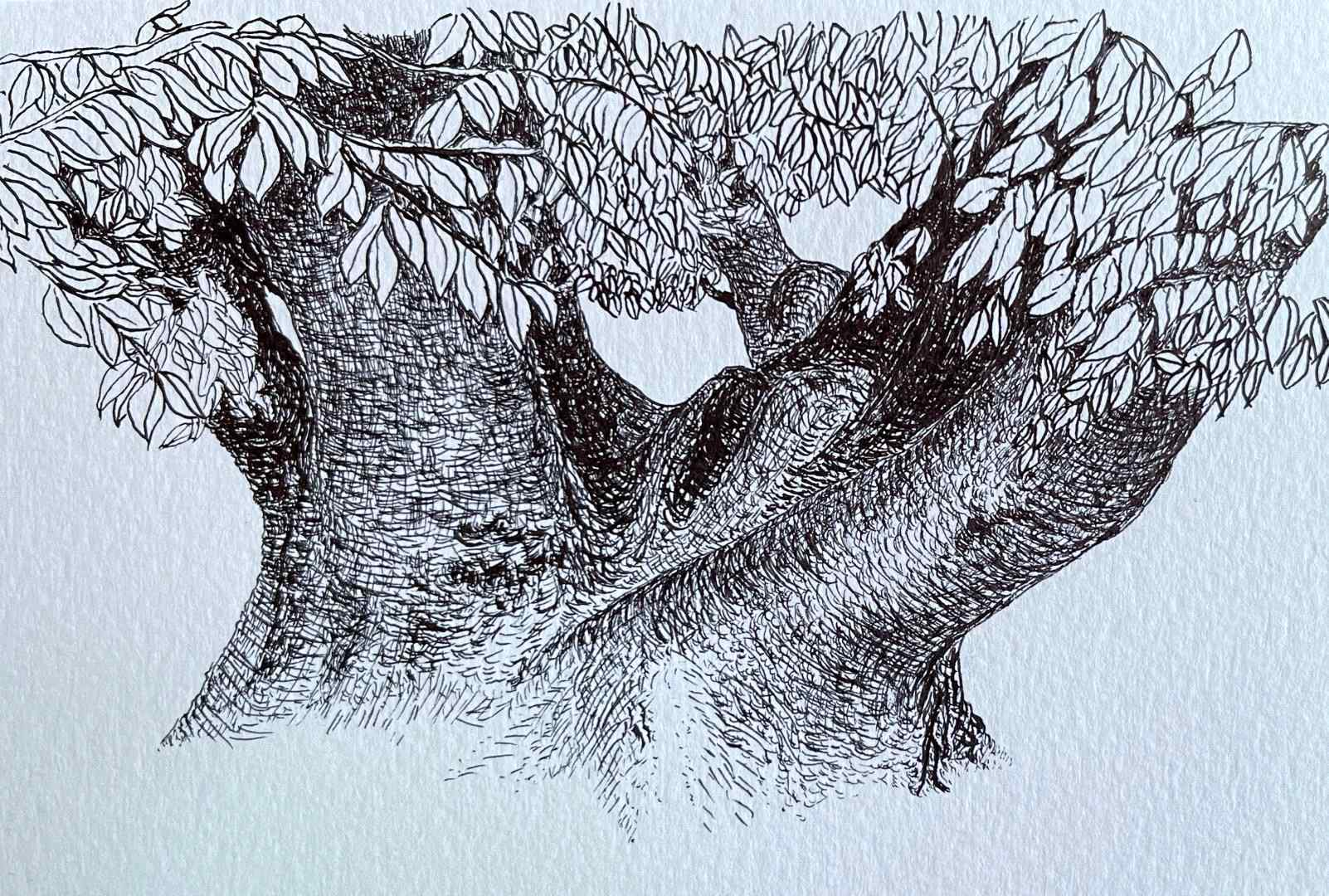 먼저, 나무가 있었다. 원문에 실린 그림 또는 사진 1