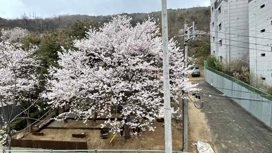 부활절 단상 원문에 실린 그림 또는 사진 12