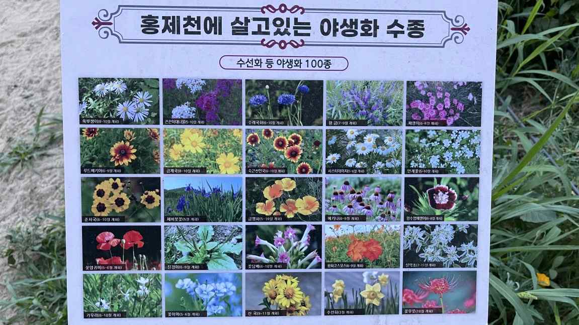 산책길 이야기 27 원문에 실린 그림 또는 사진 11