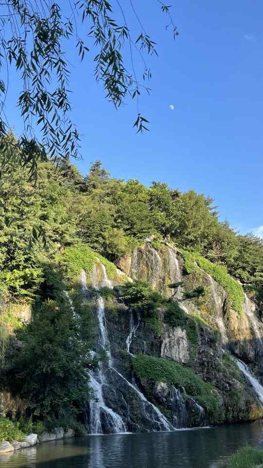 산책길 이야기 28 원문에 실린 그림 또는 사진 12