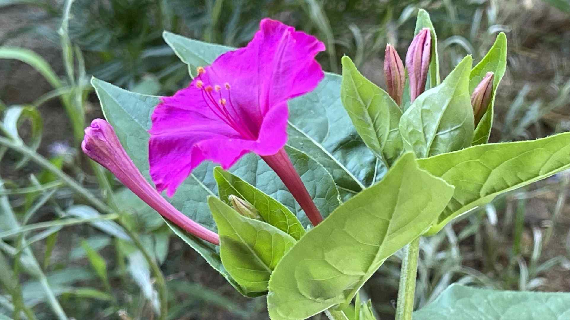 산책길 이야기 28 원문에 실린 그림 또는 사진 24