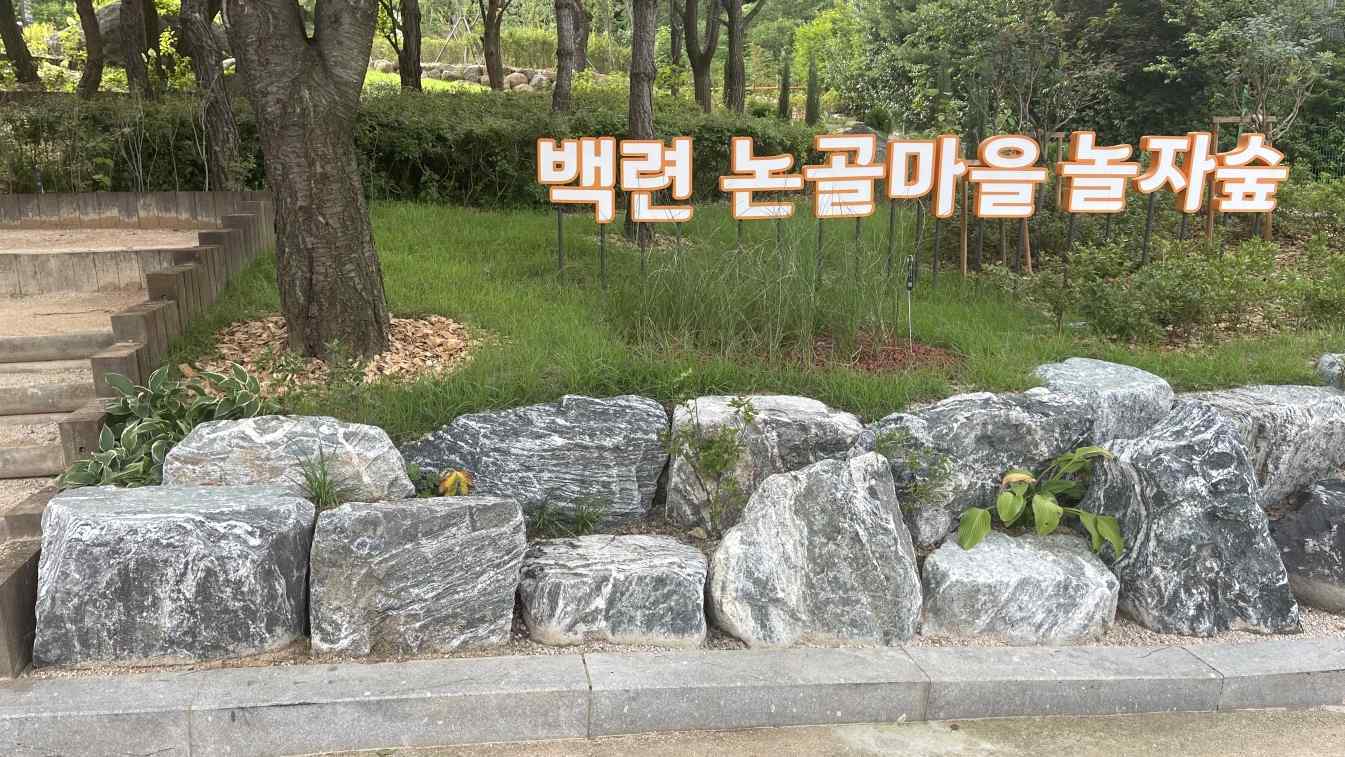 백련 논골마을 놀자숲 표지와 바위와 벚나무