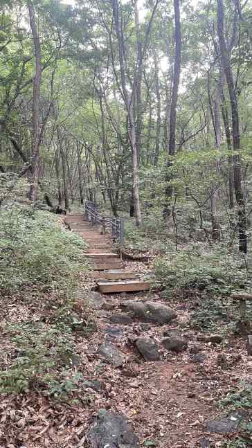 백련산 숲으로 이어지는 가파른 계단길